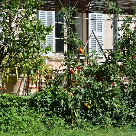 Les Passiflores Grasse Bagian luar foto