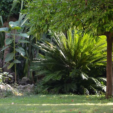 Les Passiflores Grasse Bagian luar foto