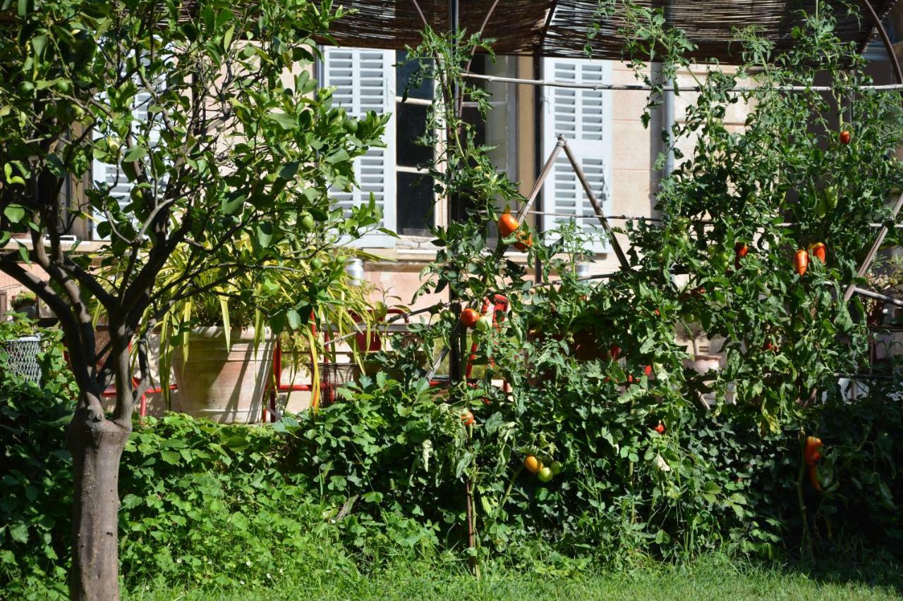 Les Passiflores Grasse Bagian luar foto